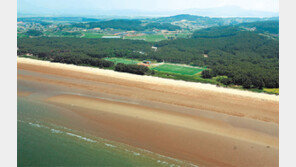 레저에서 힐링까지… 태안군 ‘해양 휴양도시 메카’ 꿈꾼다