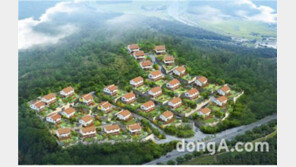 타운하우스 ‘숲속마을 옥천단지’ 분양… 가격·접근성 ‘눈길’