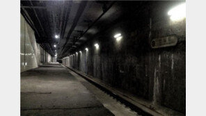 신설동 유령역, 43년 만에 공개…1974년 완공 후 폐쇄된 이유는?