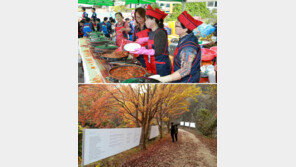 깊어가는 가을… 중부권 가을행사 풍성