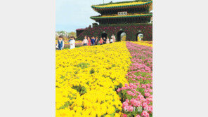 함평 국향대전 개막