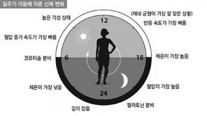 ‘생체시계’ 이용해 우울증-암-비만 치료한다