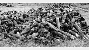 [책의 향기]해외 미군기지는 무엇을 위해 존재하나