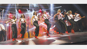 [여행, 나를 찾아서]크루즈 여행의 새로운 지평을 열다