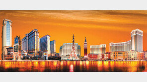 [여행, 나를 찾아서]모터스포츠-푸드-라이트 페스티벌… 마카오를 달군다 