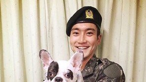 최시원 프렌치불독은 어떤개? 투견 불독을 소형화로 개량한 견종 