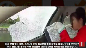 [대박! 이거 봤어?] 알쓸신잡 (알아두면 쓸데있는 신비한 잡동사니)