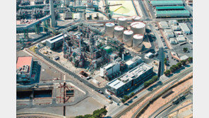 휘발유-경유 빼고 남은 기름에서 ‘황금알’ 찾은 SK루브리컨츠