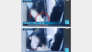 최시원 프렌치불독 파장…전문가 “반려견 목줄無=자율성→야성 발동”