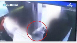 [최시원 프렌치불독]국민의당 박주원 “반려견에 물려 죽으면 ‘개죽음’”