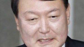 윤석열, ‘도대체 다스는 누구 것이냐?’ 돌직구 질문에… 