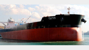 현대重 광석운반선, 4520억원 추가 수주