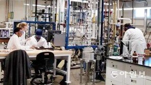 [동아일보·채널A 공동취재]美유학생 “100곳 지원에 인터뷰 3곳뿐”… 트럼프 反이민 불똥