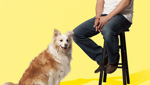 그래도 ‘세상에 나쁜 개는 없다’