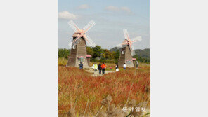 동화책 같은 소래습지생태공원