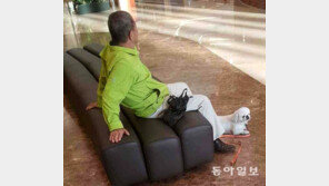 “목줄 잡아라” “안 문다”… 곳곳 실랑이 