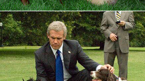 美대통령들 고독 달래줘… 트루먼 “친구 원하면 개 키워라”