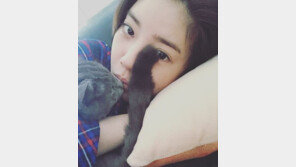 손담비 SNS 근황보니…“넌 고양이가 아냐”