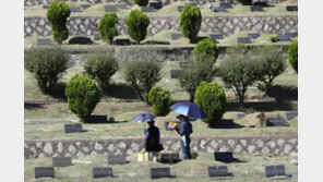 마을 청년회에 돈 줘야 선산에 안장 가능? 세상에 이런 횡포가…
