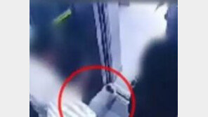  “검출 녹농균 원인 모르는데 왜?” vs “또 물게 뻔하니 안락사 시켜야”