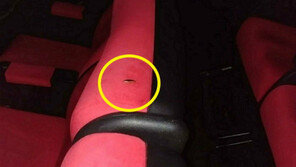 유명 멀티플렉스 체인 좌석에 바퀴벌레가?…영화보려다 “깜놀”