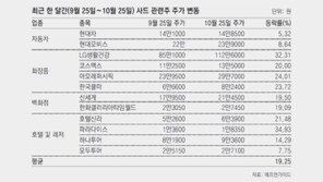 움츠렸던 사드 관련株 ‘자동차-화장품-백화점’ 기지개