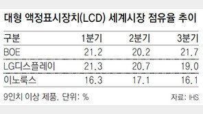 LCD 경쟁 심화에 LGD 고민 깊어져