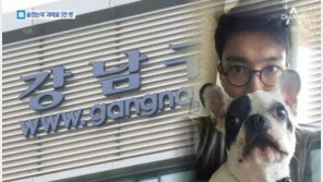 강남구청, ‘개물림 사고’ 최시원父에 ‘과태료 5만 원’ 처분