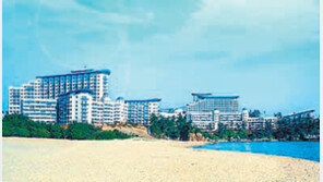 [화제의 분양현장]대명리조트, 창립 38주년 특별 회원권 분양