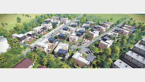 [화제의 분양현장]림 하우스, 안정적 임대수요 갖춘 평택 미군전용 렌털하우스