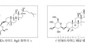 모든바이오, 진세노사이드 20(S)-Rg3 대량 생산기술 특허출원