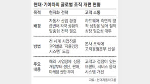 현대-기아차 “해외지역별 자율경영”