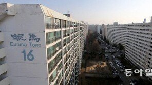 강남 ‘재건축 1번지’ 은마아파트, 35층으로 재탄생