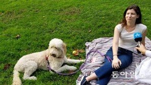 ‘개 천국’ 美도 목줄없인 외출 못해