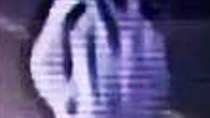 윤송이 父 살해 피의자 “주차 시비로 범행” 자백, 그런데 CCTV보면…