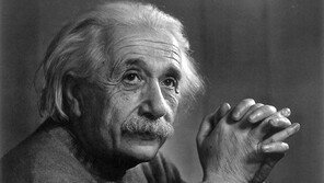 [책의 향기]신이었다가 악이었다가 凡人이 된 천재들