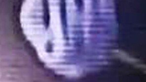 윤송이 사장 부친 살해 피의자, 영장실질심사…‘구속여부’ 29일 결정될 듯