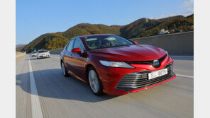 높은 연비+매력적 주행…퍼펙트 하이브리드