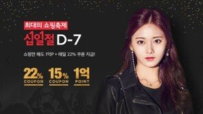 온라인 쇼핑 ‘11월 대전쟁’