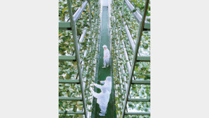 [거점국립대 특집]월드클래스 연구력 갖춘 전북대, 지역 발전 핵심동력 