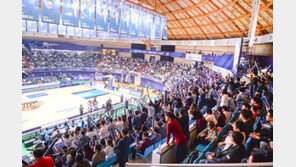 스무살의 여자농구, 팬들과 더 가까이