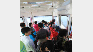 ‘삼척해상케이블카’ 인기폭발