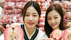 항산화 성분 부사의 15배 ‘속 빨간 사과’
