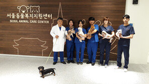 유기동물 구호부터 보호·입양까지 OK!