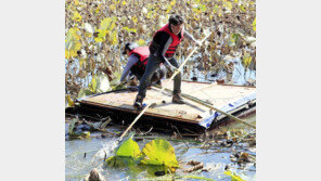 호수공원 환경정화 활동 