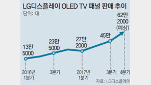 LGD “OLED TV패널 주문쇄도… 판매량 작년 2배”