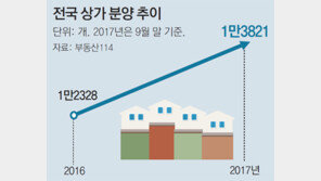 올 분양상가, 벌써 작년 한해물량 넘어서