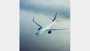 기내서 처음 만난 男女, 좌석에서 뻔뻔하게 ‘19禁’…음란혐의 조사