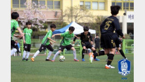 초등리그 왕중왕전 4일 개막…마지막 챔피언은?