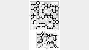 [바둑]알파고 vs 알파고 특선보… 점차 사라지는 변수